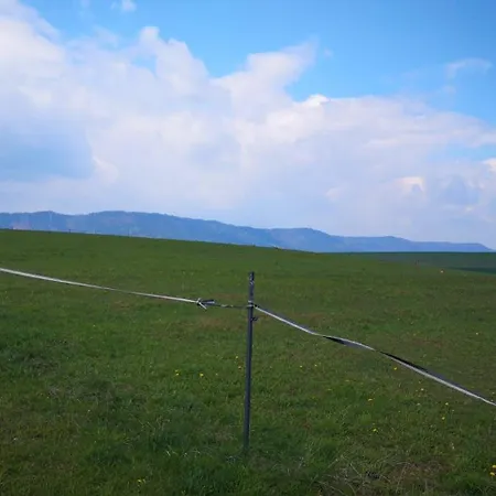 V Udoli Božanov